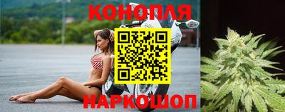 хмурый Кингисепп