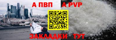хмурый Кингисепп