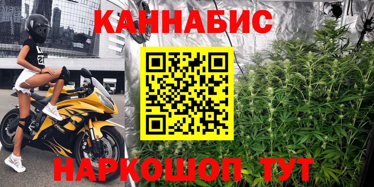 Шишки марихуана Amnesia Коркино